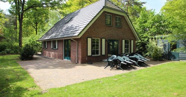 Landgoed Het Grote Zand F Sauna Bungalow 10 - Nederland - Drenthe - 10 personen